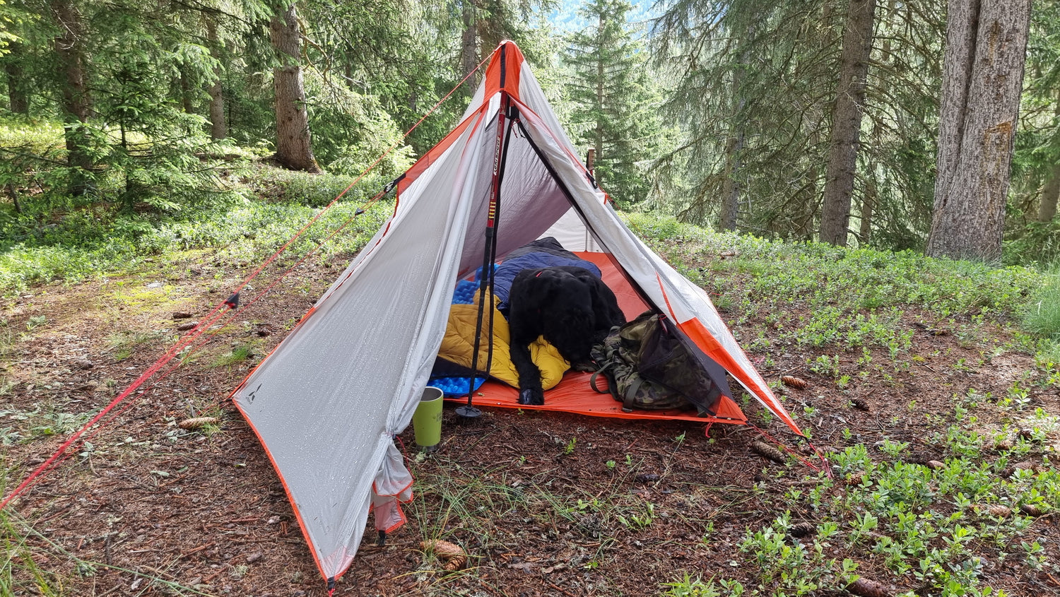 Slingfin SplitWing UL Tarp