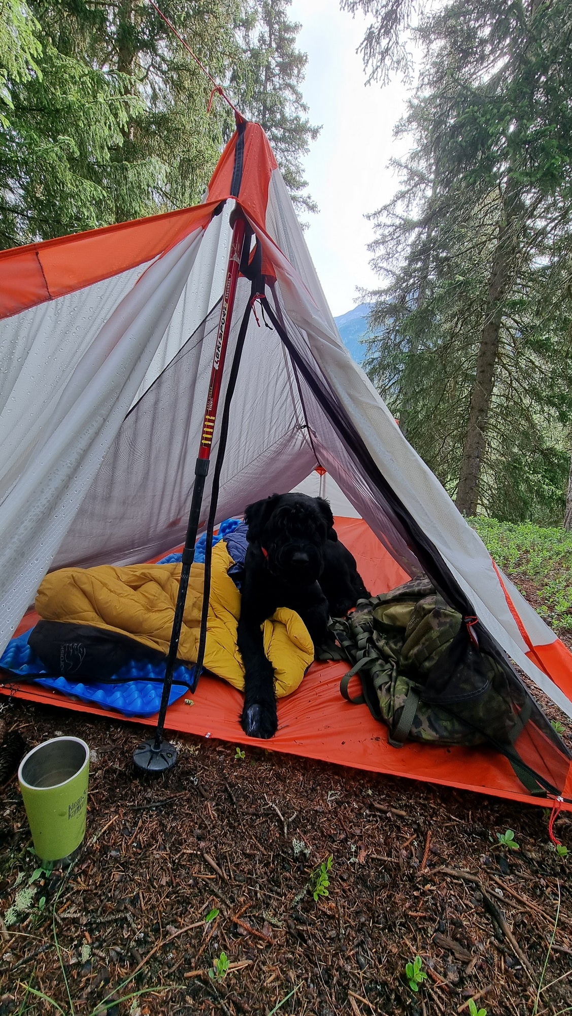 Slingfin SplitWing UL Tarp