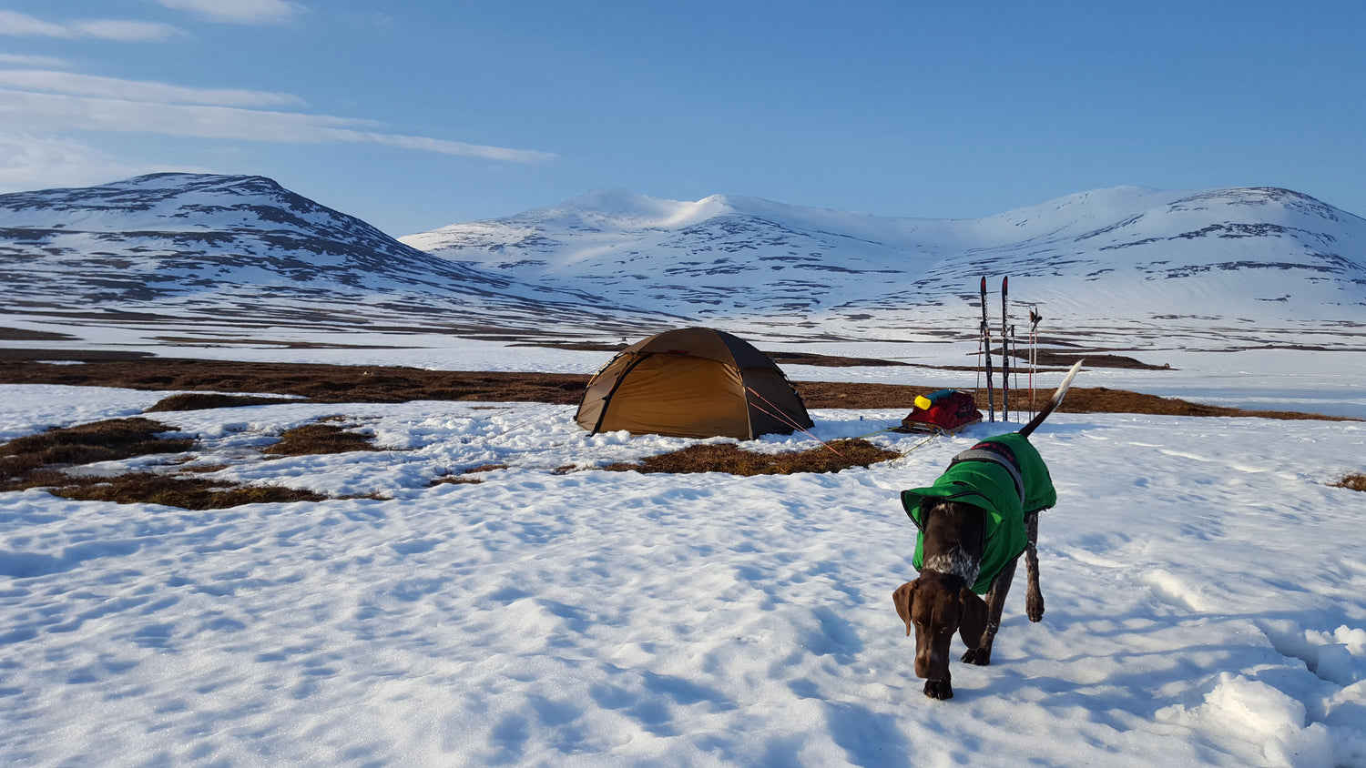 Hilleberg Allak 2 Robustes, freistehendes 4-Saison-Zelt