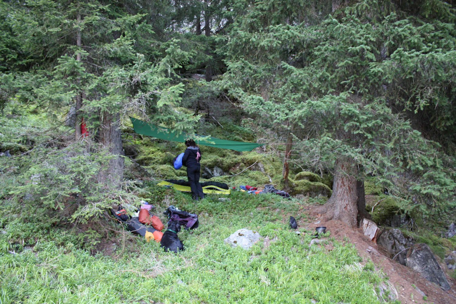 Hilleberg Tarp 10 XP Robuster Wetterschutz für 2–3 Personen