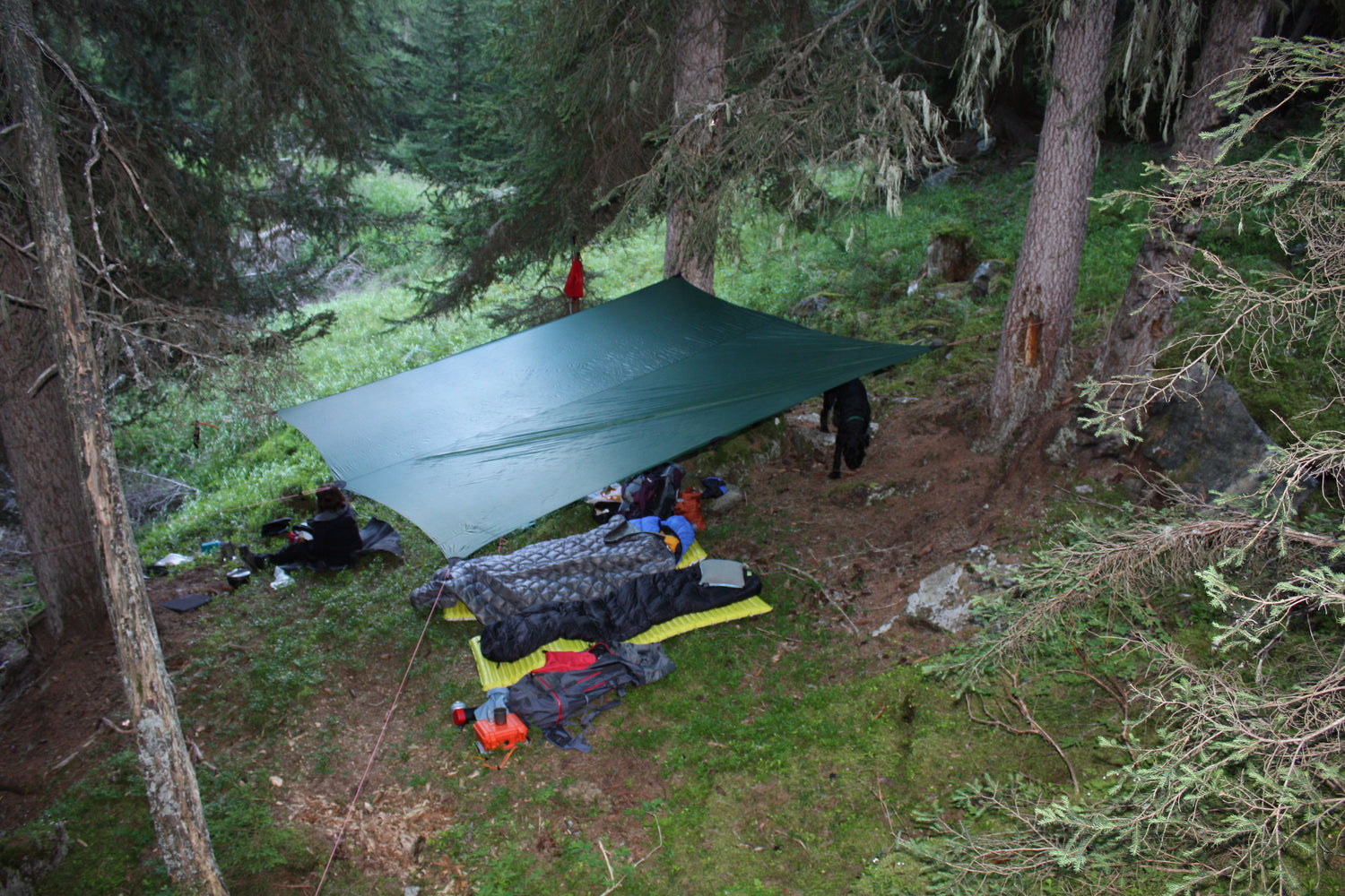 Hilleberg Tarp 10UL – Ultraleichter Wetterschutz für 2–3 Personen