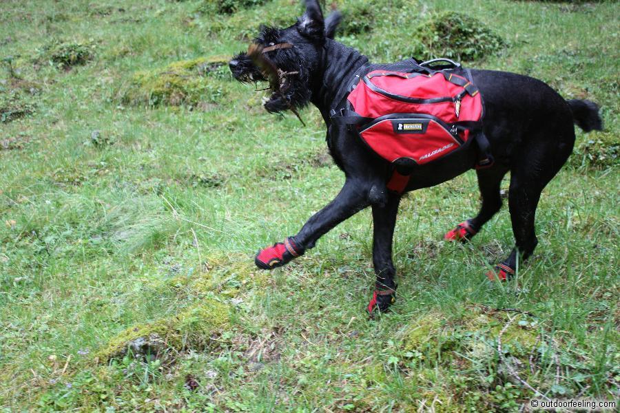 Ruffwear Hunderucksack Palisades Pack