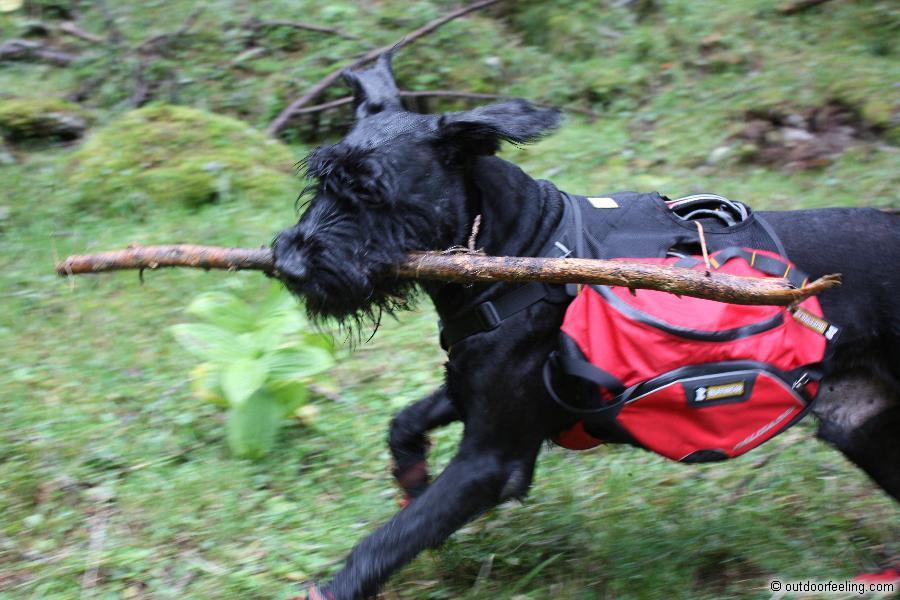 Ruffwear Hunderucksack Palisades Pack