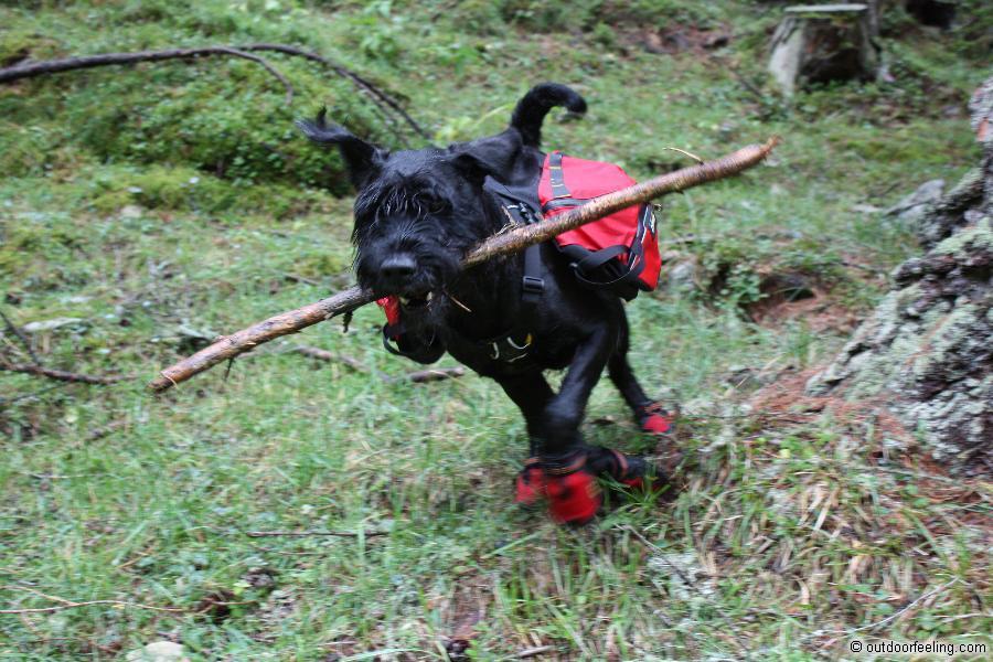 Ruffwear Hunderucksack Palisades Pack