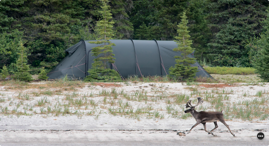 Hilleberg Stalon XL Basic Tactical