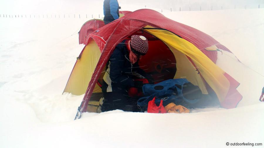 SwissPiranha Schnee-Sand Hering