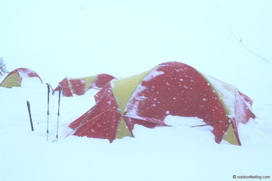 SwissPiranha Schnee-Sand Hering