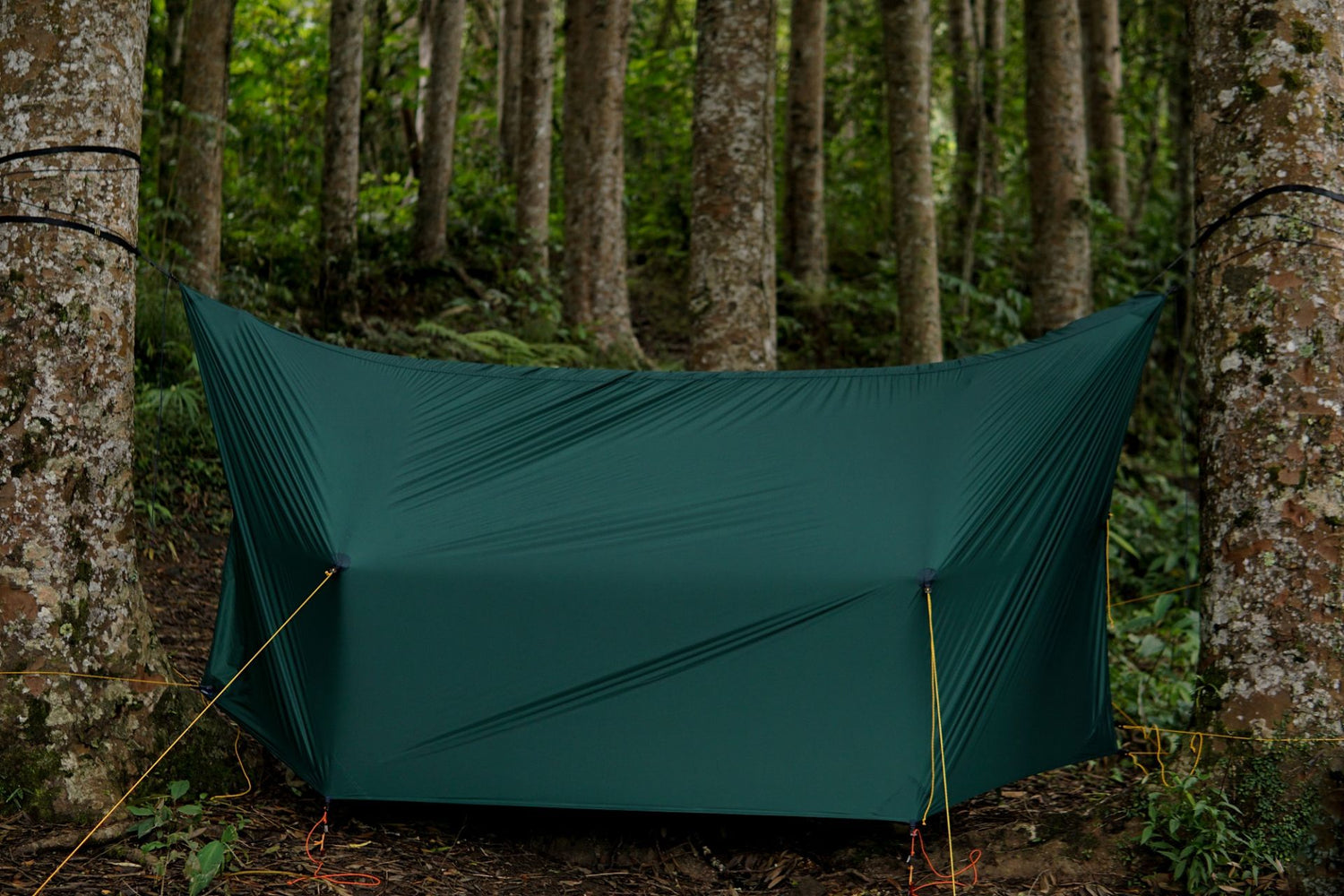 Ticket To The Moon FULLMOON TARP