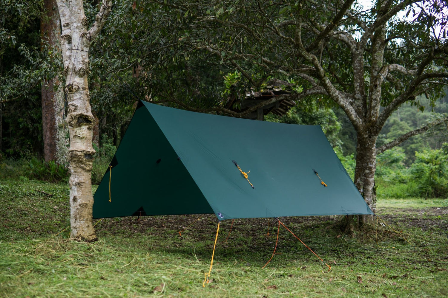 Ticket To The Moon FULLMOON TARP