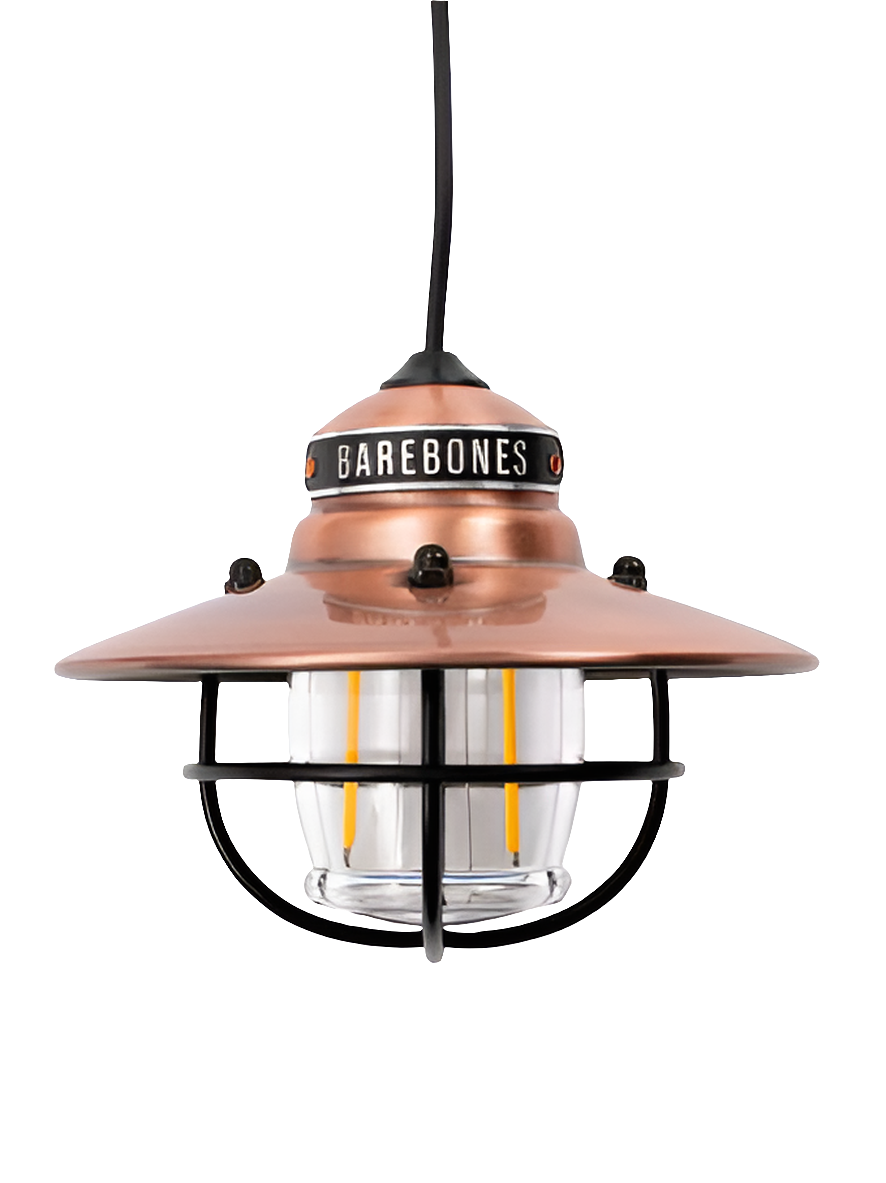 Barebones Edison Pendant Light