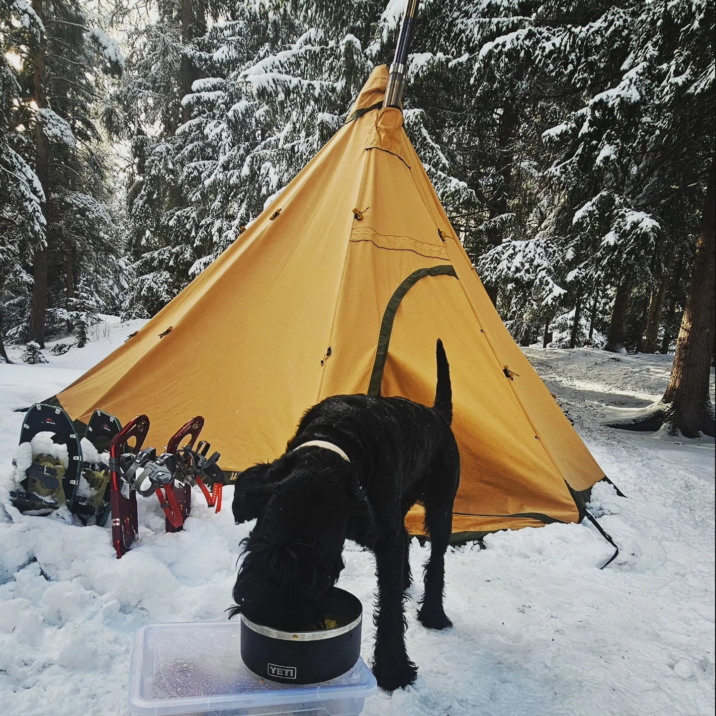 Tibetent Tipi 9 Alp Pro