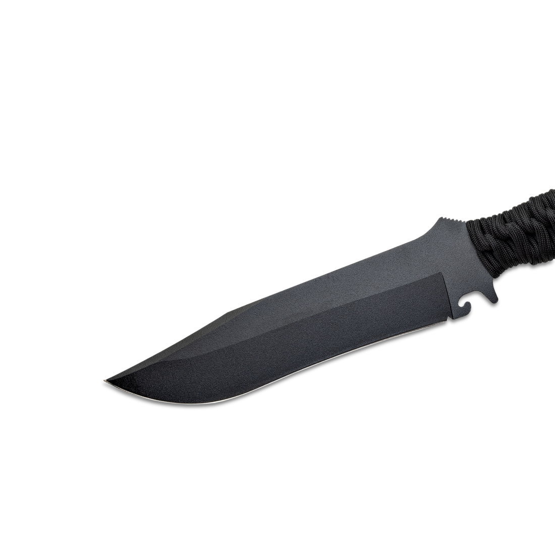 Wildsteer TX Bowie