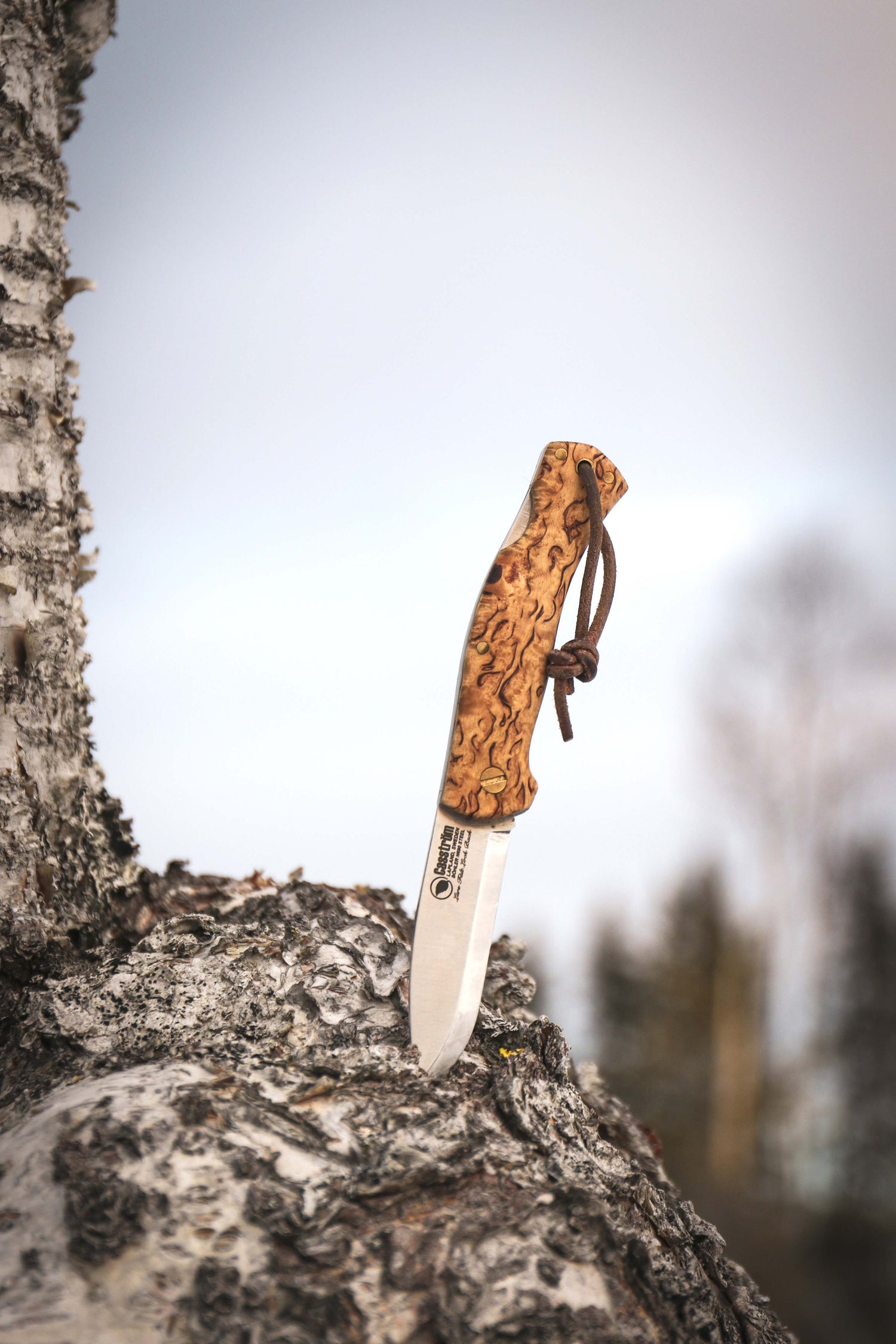 Casström Lars Fält Lock Back Folding Knife