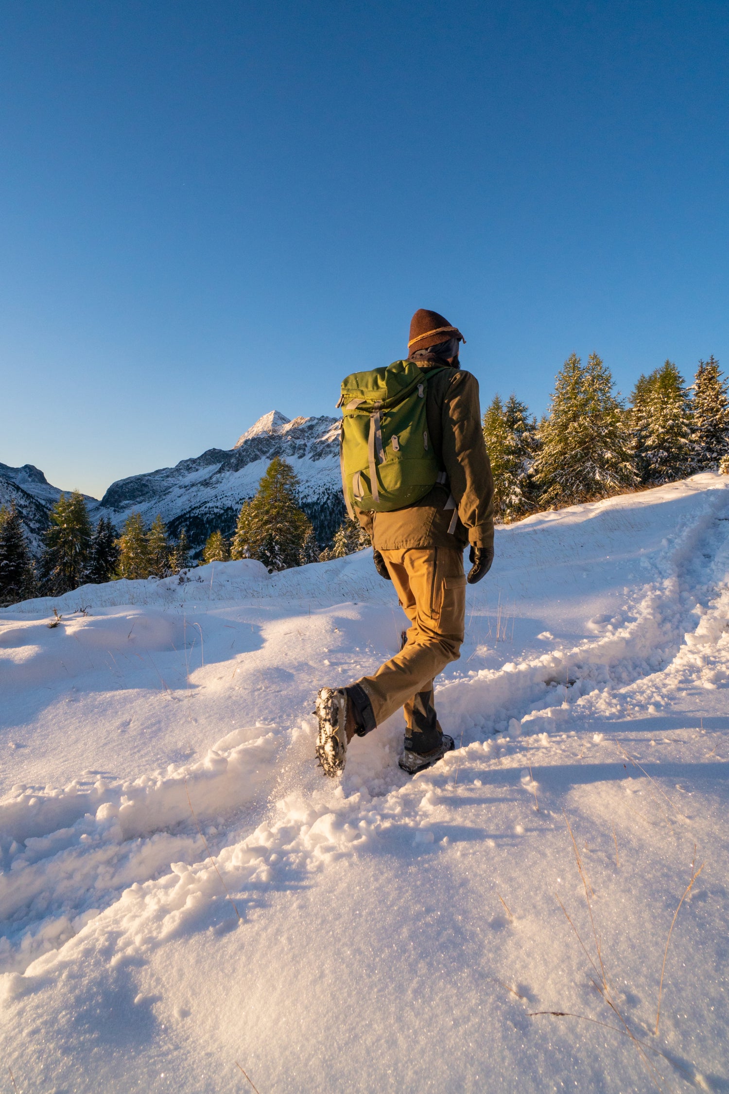 Nortec Alp Forest Schuhkrallen